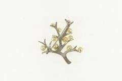 Sterling Silver Vintage Pearl Family Tree Symbol Pin/Brooch