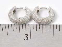 Dazzling 14K White Gold Hoop Earrings