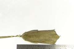 Sterling Silver Art Deco Engraved Scroll Mesh Vermeil Purse