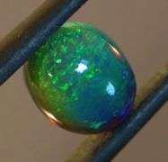 Exciting! 1.56ct floral fairy fire flashing Black Opal