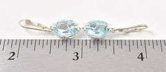 Elegant 925 Flower Blue Topaz Gemstone Earrings