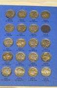 Starter Buffalo Nickel Set