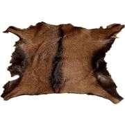 Real Antelope Goat Hide Rug