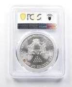 MS69 2001 American Silver Eagle PCGS Beautifully Toned