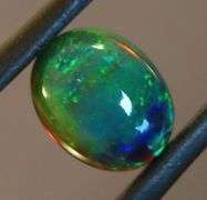 Exciting! 1.56ct floral fairy fire flashing Black Opal