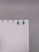1.0g 14k YG Earrings Blue