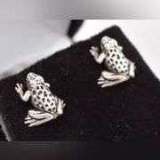 Wild 925 Frog Stud Earrings