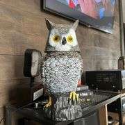 Home Security Hidden Camera Owl