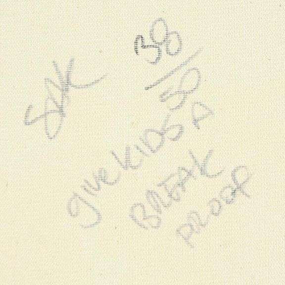 I Love Brooklyn by Steve Kaufman