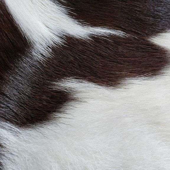 South American Genuine Calfskin Chocolate Dark Brown Cowhide Rug