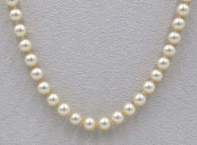 Pearl necklace