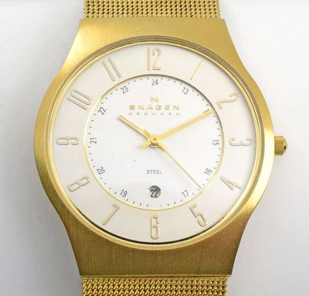 Smart Skagen Men's Quartz Watch in Gold PVD SS