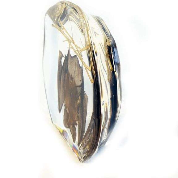 Hanging Bat Desk Decoration