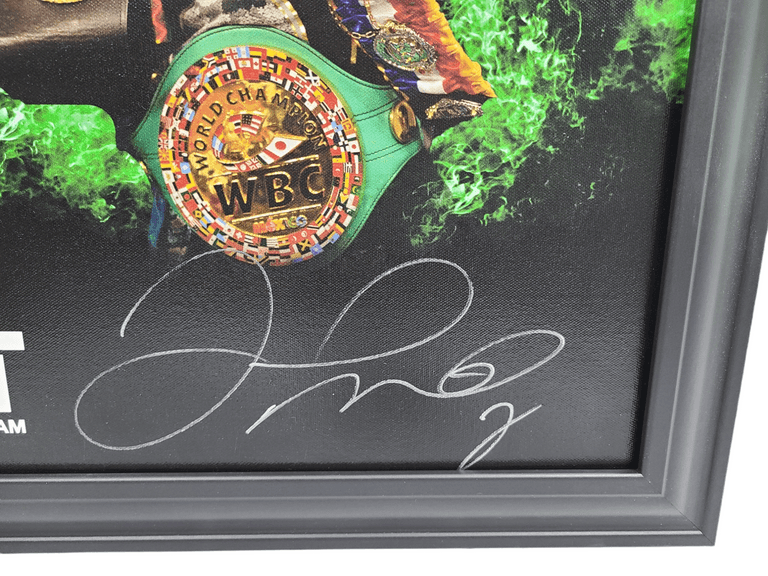 Floyd Money Mayweather Jr. Autographed I Fight For the Check Framed Canvas BAS