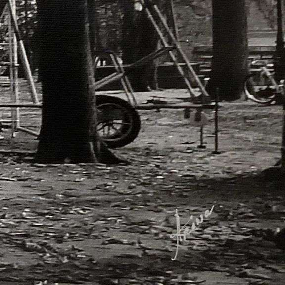 Deep Autumn by Misha Aronov