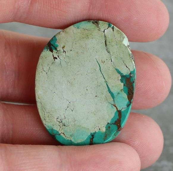 Huge! 65.29ct well marbled robbins egg blue Turquoise