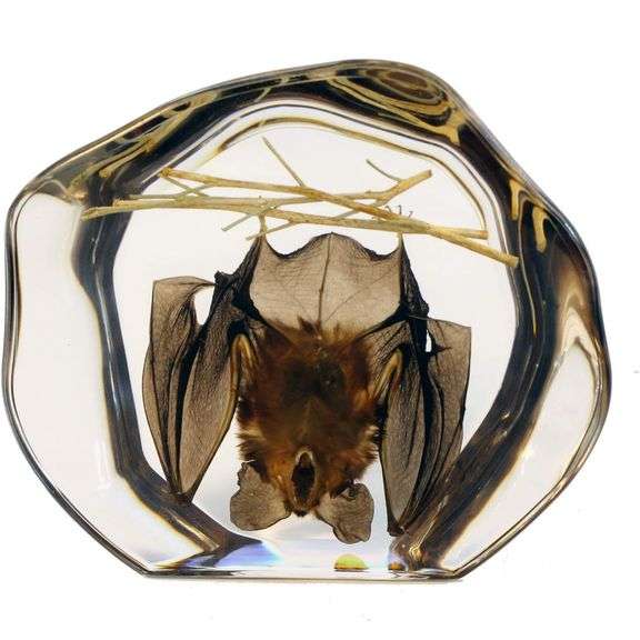 Hanging Bat Desk Decoration