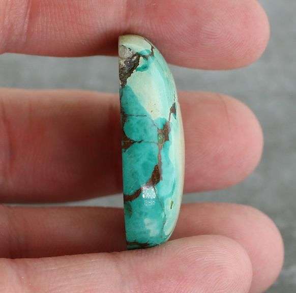Huge! 65.29ct well marbled robbins egg blue Turquoise