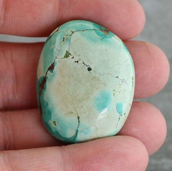 Huge! 65.29ct well marbled robbins egg blue Turquoise