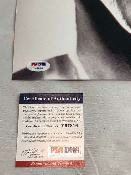 James Taylor Autographed 16x20 Framed JT Album CD Photo Display Exact Proof