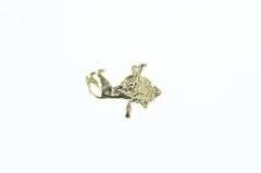 14K Yellow Gold 3D Lion African Animal Strength Symbol Charm/Pendant