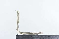 14K Yellow Gold Box Chain Fringe Tassel Dangle Fashion Earrings