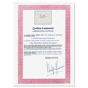 The Little Prince Lying On The Grass by Antoine de Saint-Exupery