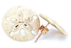 14kt Yellow gold Sand dollar stud earrings