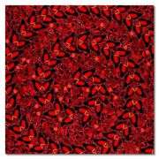 The Empresses (H10-5 Taytu Betul) by Damien Hirst