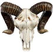 Gothic Hand-Painted Ram Skull Wall Trophy