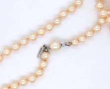 Pearl necklace