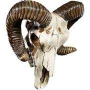 Gothic Hand-Painted Ram Skull Wall Trophy