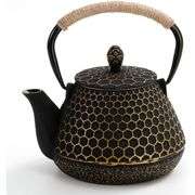 Japanese Cast Iron Tea Kettle