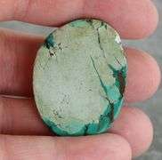 Huge! 65.29ct well marbled robbins egg blue Turquoise