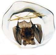 Hanging Bat Desk Decoration
