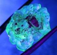REAL!!! 33.79ct raw unprocessed Hyalite Opal