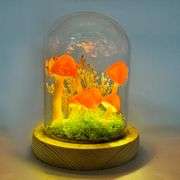 Enchanted Forest Handcrafted Mushroom Night Light