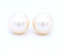 14kt Yellow gold 6-6.5mm Pearl stud earrings