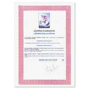 Bonaparte by Victor Spahn