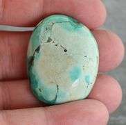 Huge! 65.29ct well marbled robbins egg blue Turquoise