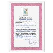 Le Cheval de Triomphe by Salvador Dali