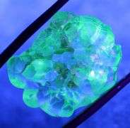 REAL!!! 33.79ct raw unprocessed Hyalite Opal