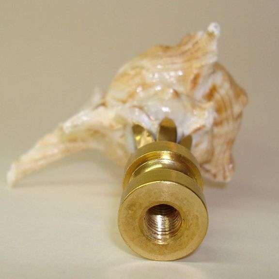 3.25" Seashell Finial for Lamp Harp