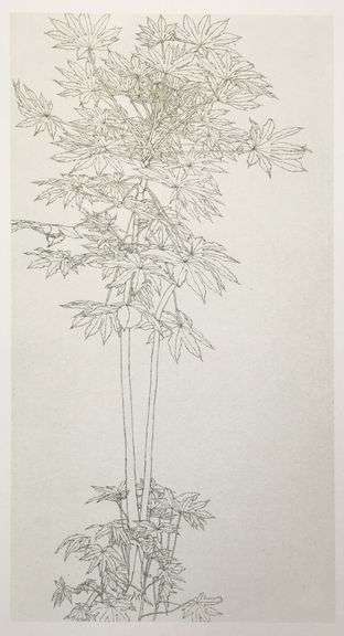 Szafran, Sam "Aralia IV" a Rare Limited Original Offset Lithograph on Paper, 1990
