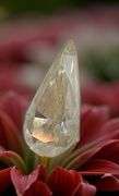 Huge 7.85 Ct Light Canary Yellow Pear Cut Fire Moissanite