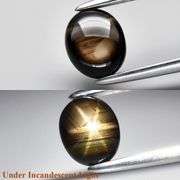 Outstanding 1.06ct unheated Star Sapphire