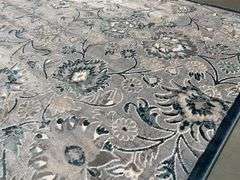 Decorative Transitional Rug 8x10