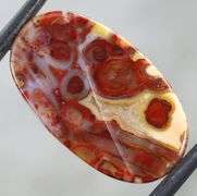 Highly figurative 10.92ct crazy lace Agate