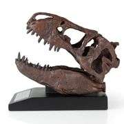 Smithsonian Fossil T-Rex Replica Desk Statue