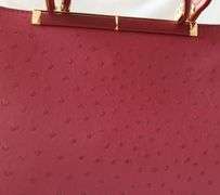 Stylish red Color Designer Bag By David Jones-Paris